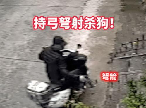 在线观看毒箭,揭秘暗流涌动的网络世界 第2张 在线观看毒箭,揭秘暗流涌动的网络世界 第2张